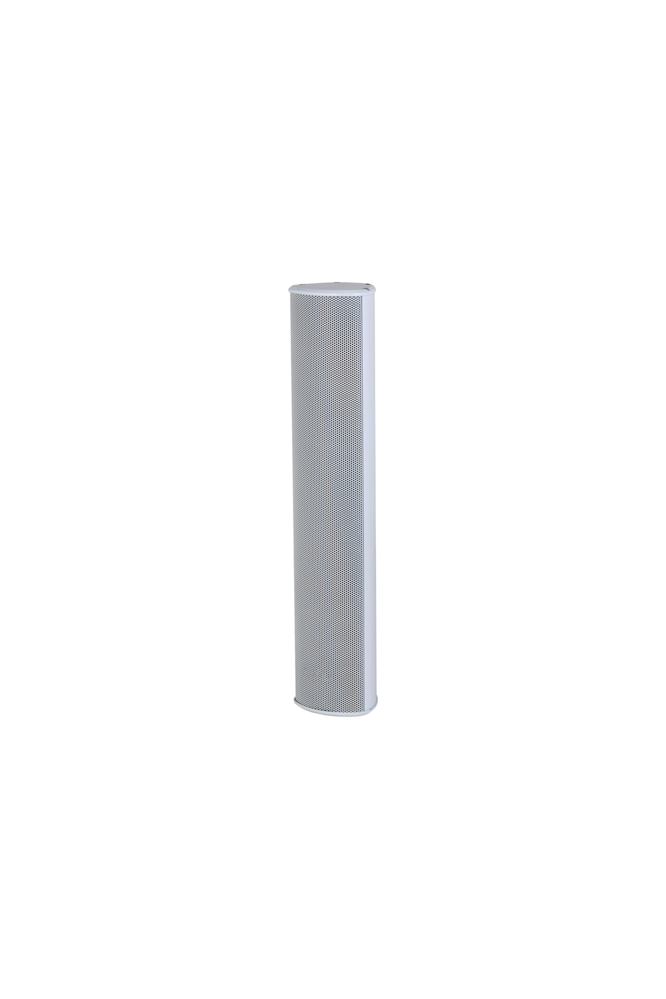 Dahua VCS-STW30 Network Hoparlör