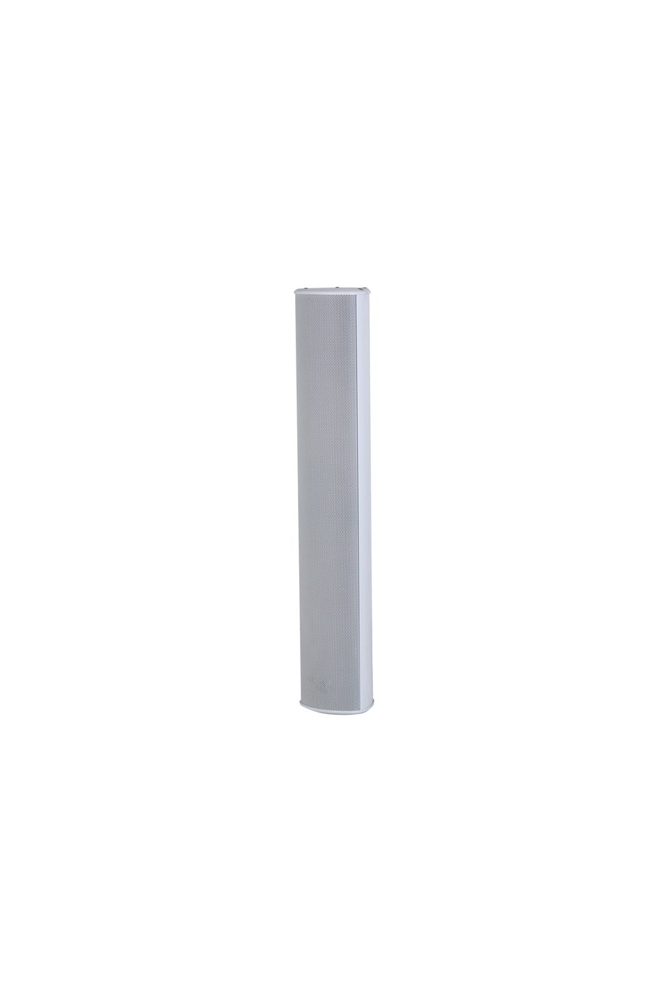 Dahua VCS-STW40 Network Hoparlör