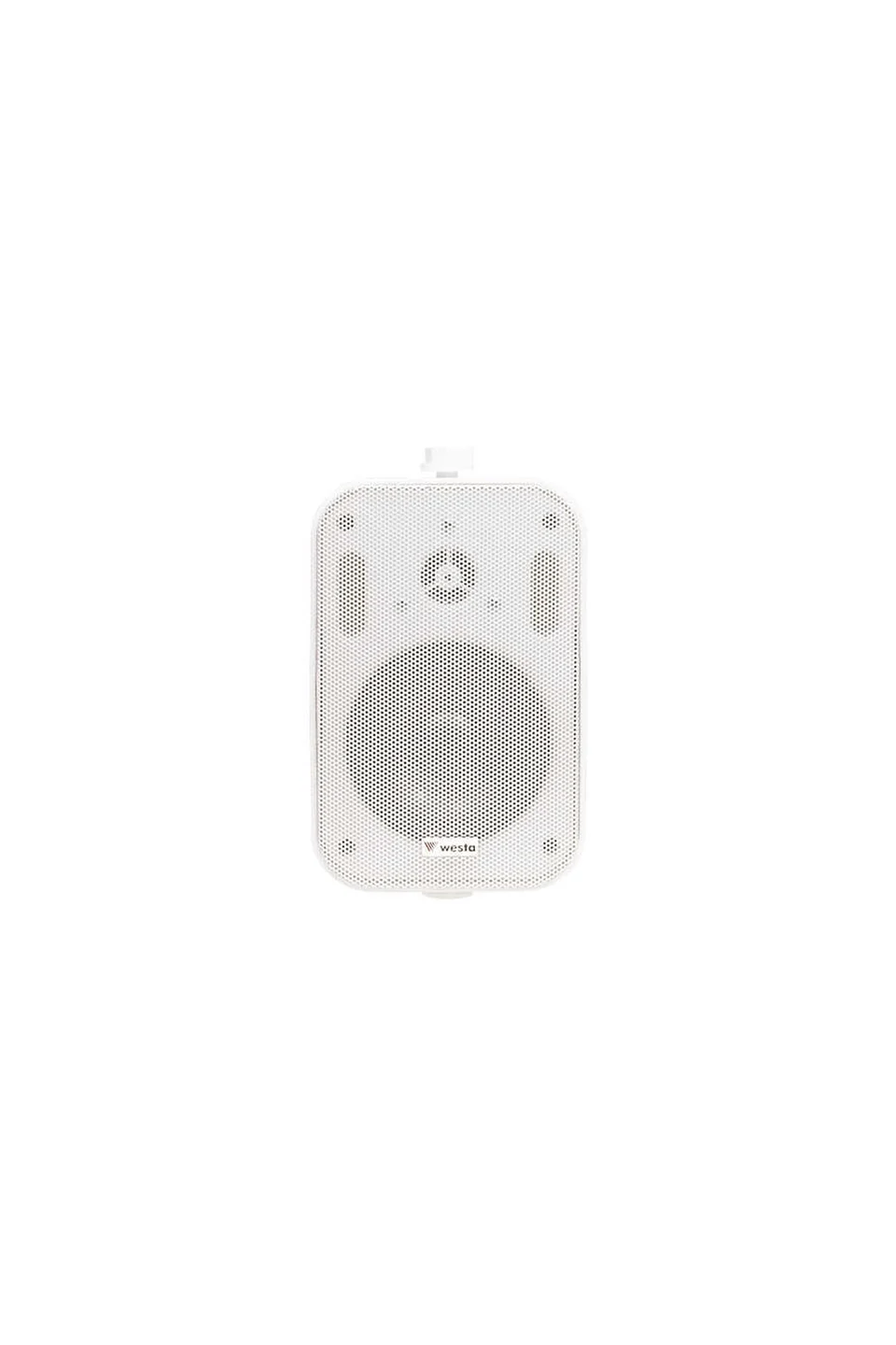 Westa WS-402TW 4 inc 10 cm Trafolu Duvar Tipi Hoparlör - ADET