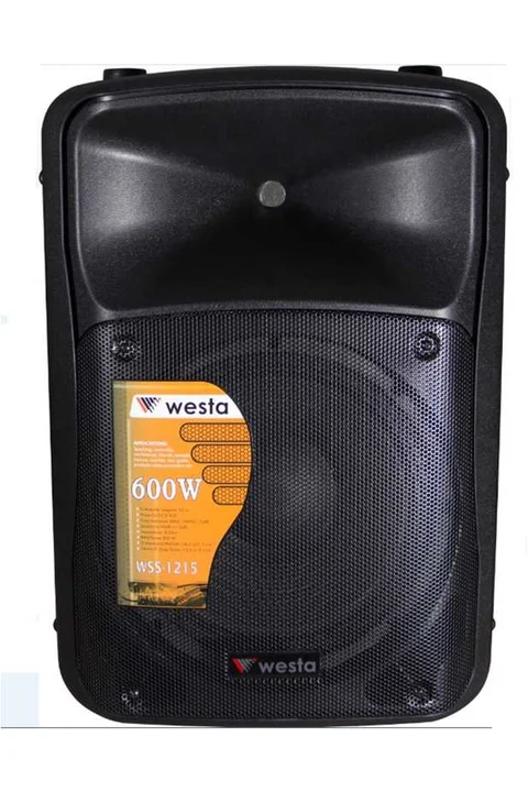 Westa WSS-1000 10 inç 25cm 2 Yollu Max. 450 Watt Pasif Kabin Hoparlör